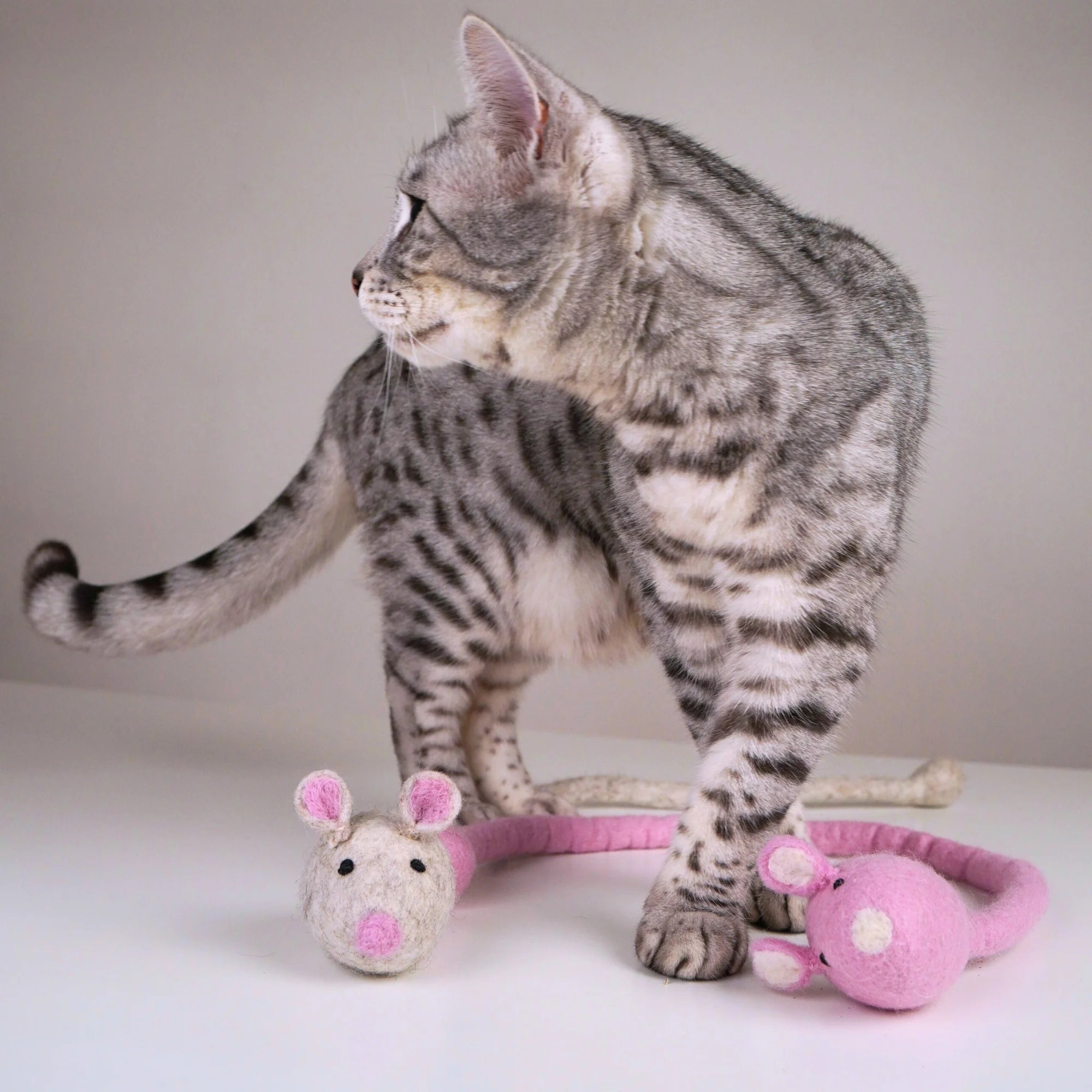 Filzmaus mit Katzenminze  Katzenspielzeug aus 100% Schurwolle  lila & clay