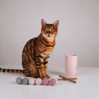 Filzbälle für Katzen aus Schurwolle – mit Matatabi-Sticks
