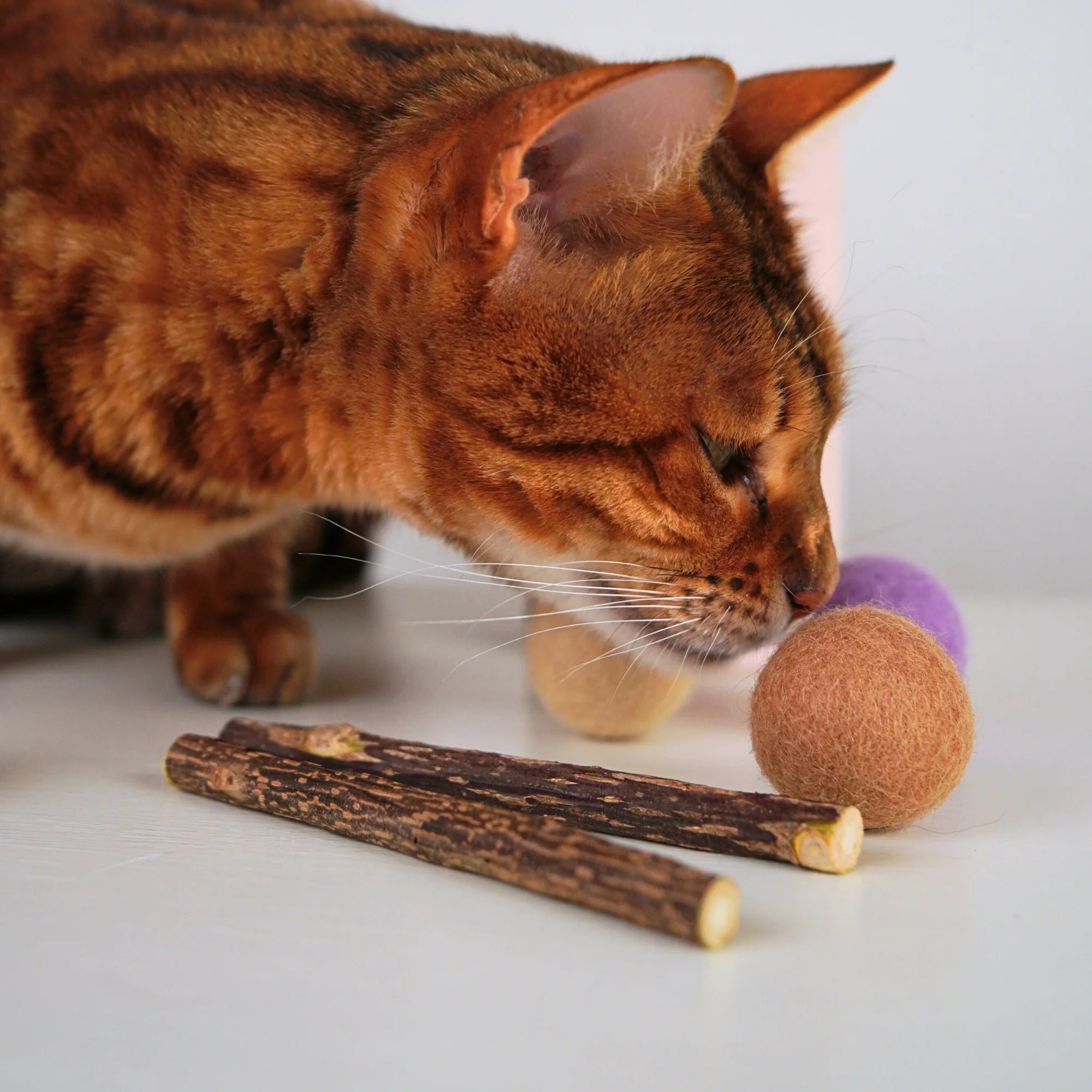 Filzbälle für Katzen aus Schurwolle – mit Matatabi-Sticks