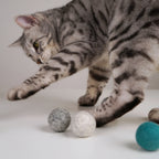 Filzbälle für Katzen aus Schurwolle – mit Matatabi-Sticks