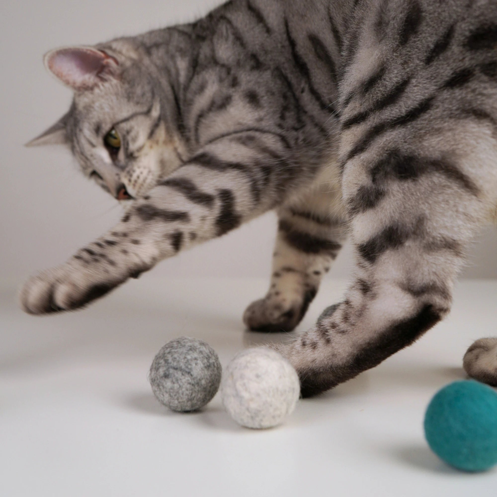 Filzbälle für Katzen aus Schurwolle – mit Matatabi-Sticks