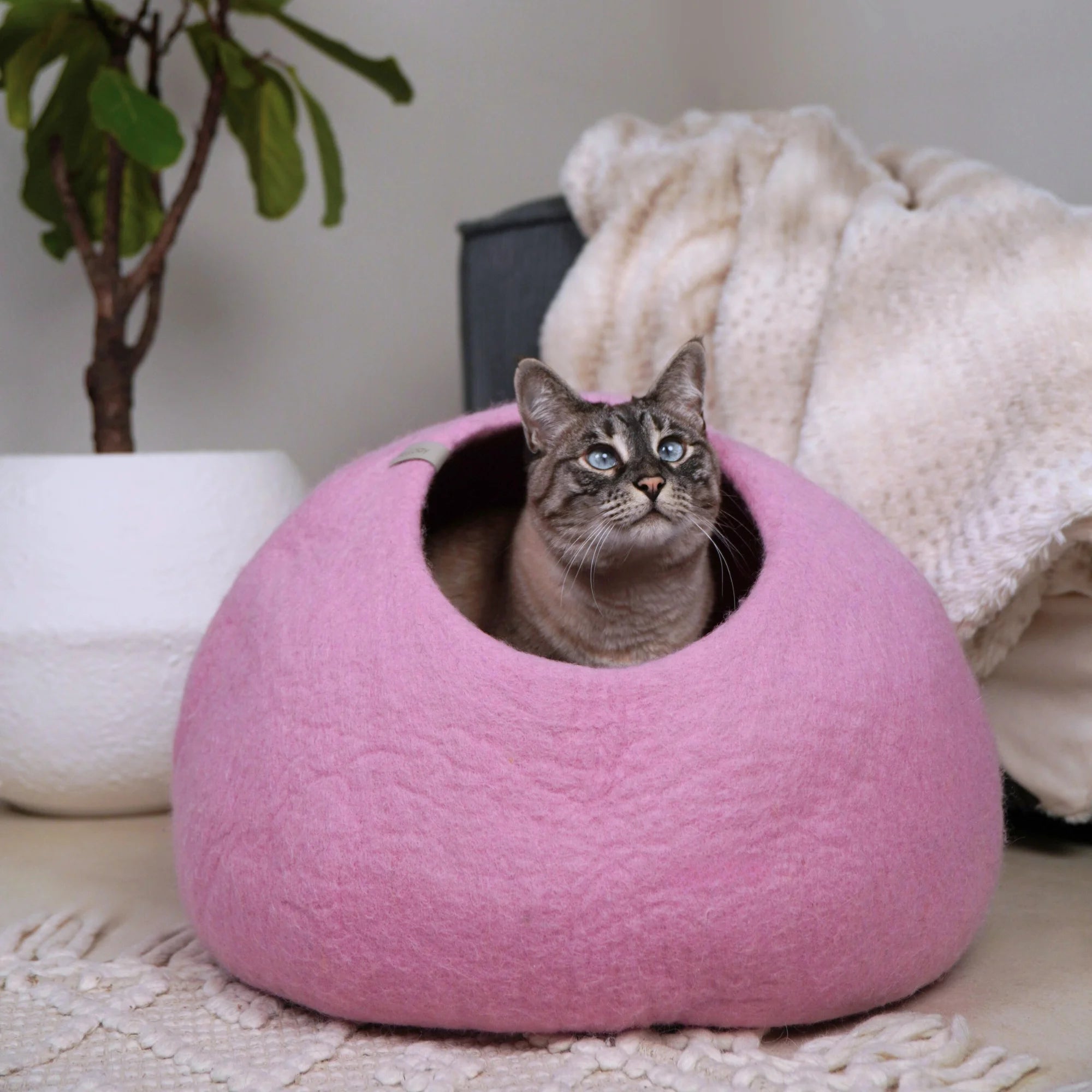 Filzhöhle für Katzen „Haven“