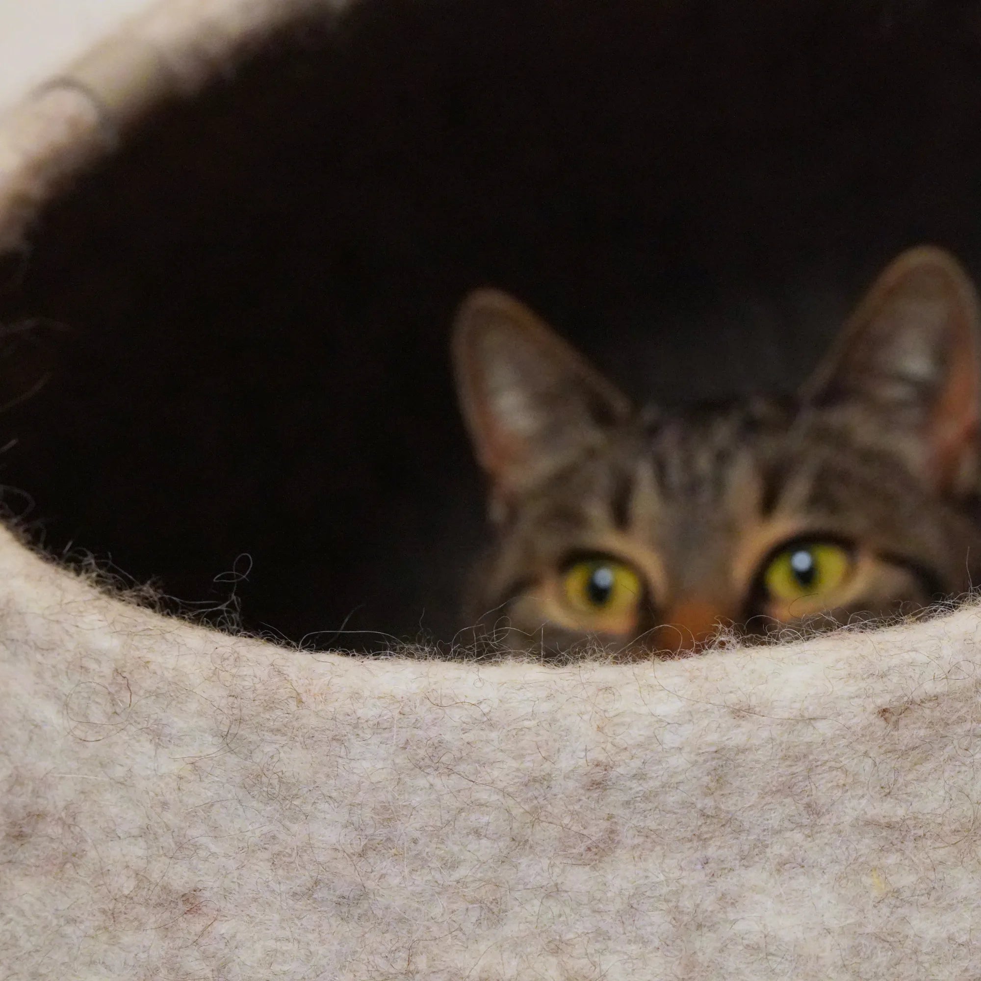 Filzhöhle für Katzen „Haven“