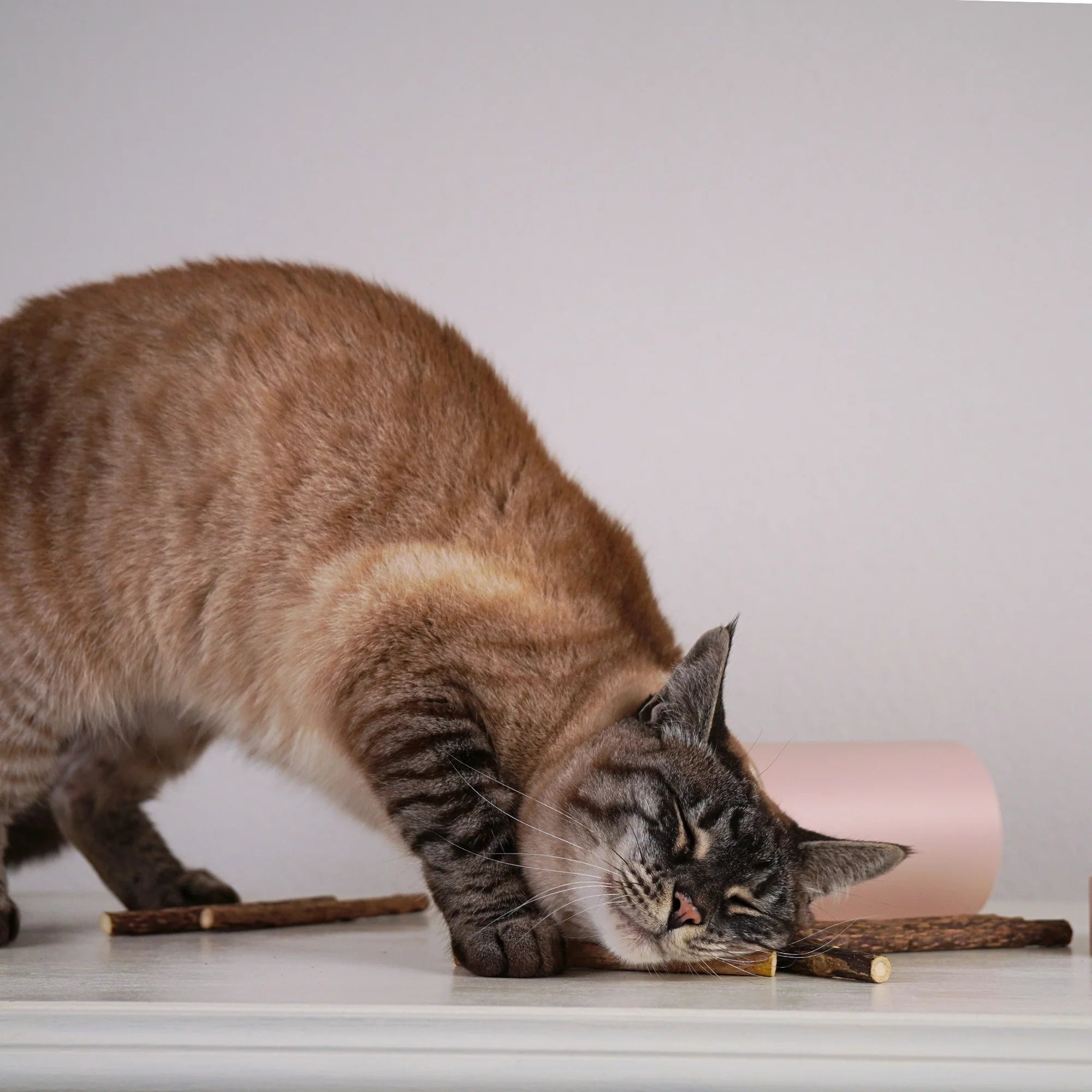 Matatabi-Sticks für Katzen aus reinem Naturholz