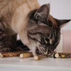 Matatabi-Sticks für Katzen aus reinem Naturholz