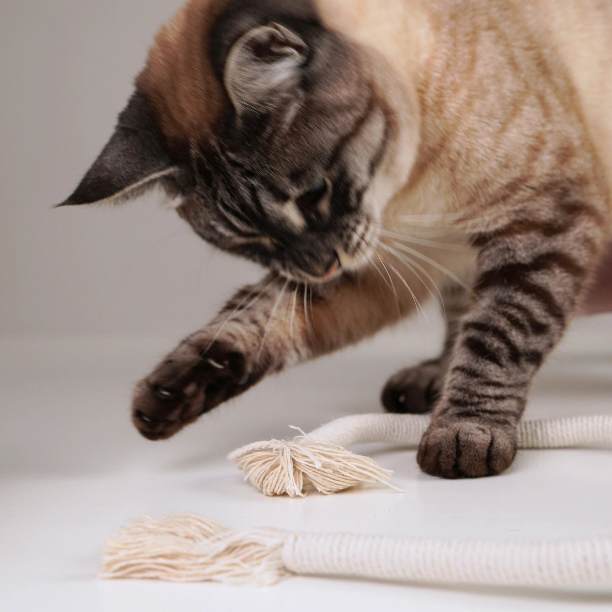 Katzenspielseil „Wave“ aus Baumwolle mit Matatabi-Holz
