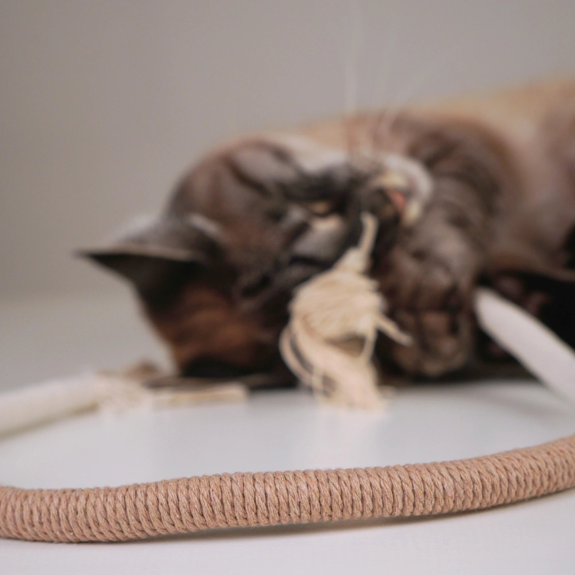 Katzenspielseil „Wave“ aus Baumwolle mit Matatabi-Holz