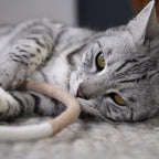 Katzenspielseil „Wave“ aus Baumwolle mit Matatabi-Holz