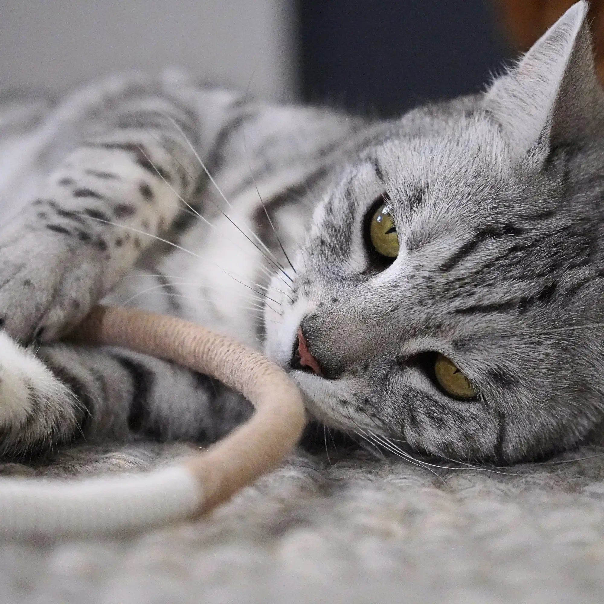 Katzenspielseil „Wave“ aus Baumwolle mit Matatabi-Holz