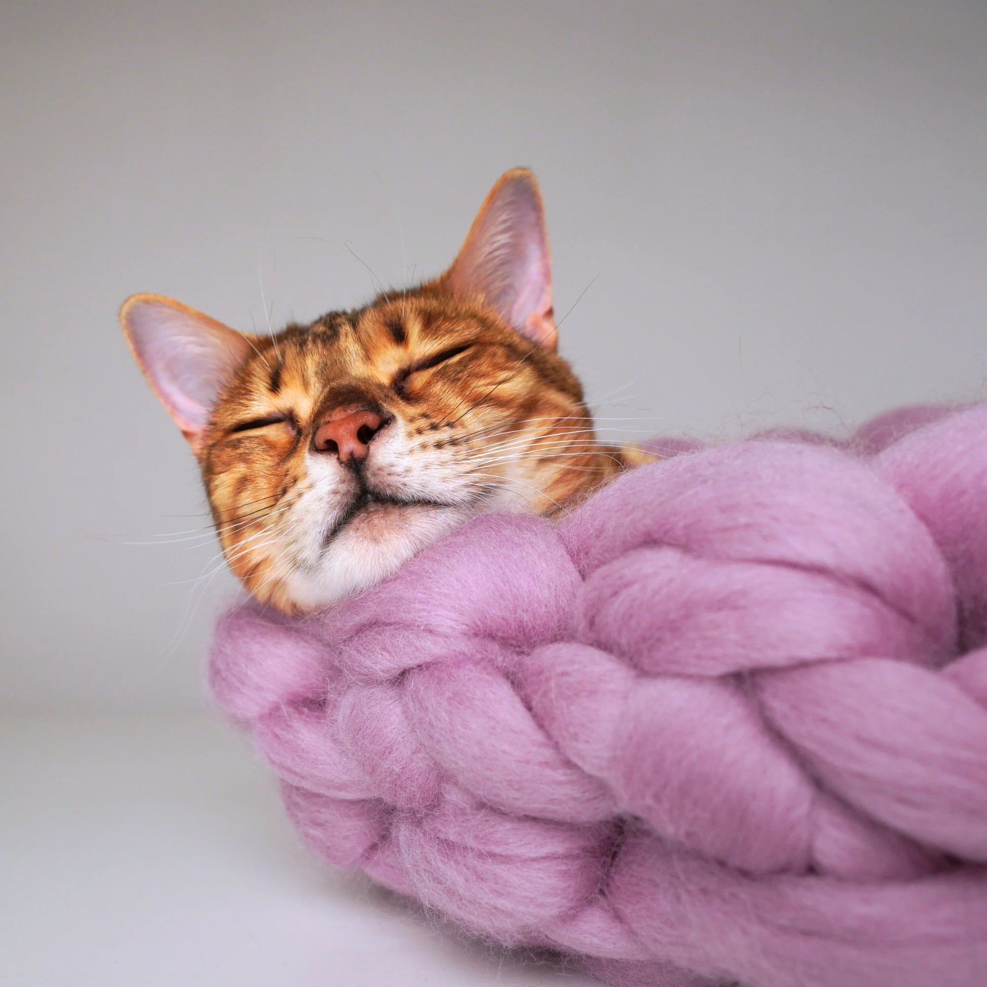 Katzenbett aus Merinowolle „Cloud“