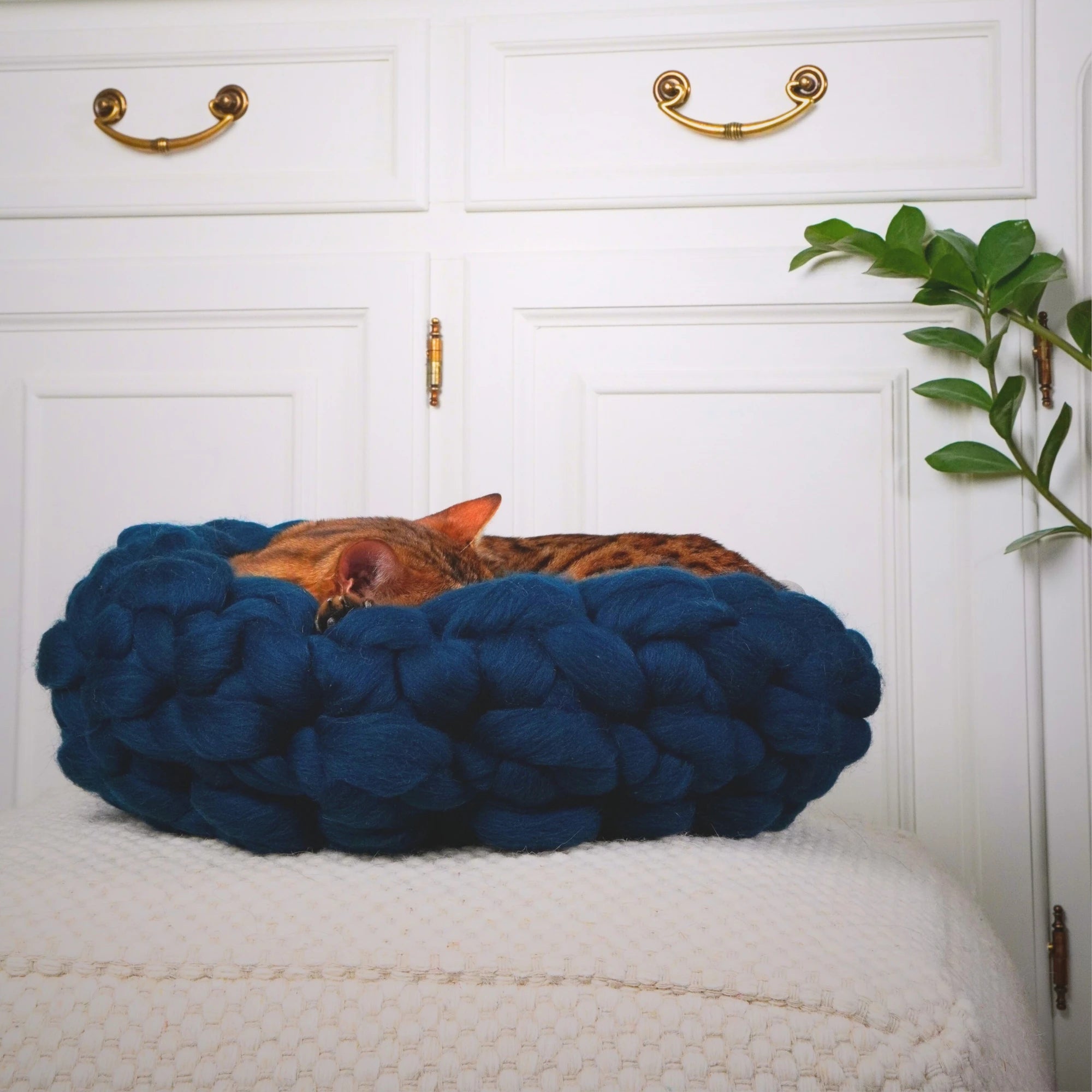 Katzenbett aus Merinowolle „Cloud“
